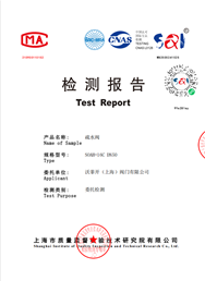 检测报告-疏水阀SOAH