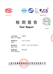 检测报告-旋塞阀XLVG